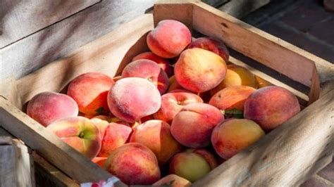 تفسير الخوخ في المنام لابن سيرين
