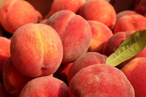 تفسير الخوخ في الحلم معنى رؤيا الخوخ في المنام
