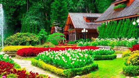 تفسير الحديقه حلم حديقة البيت في المنام