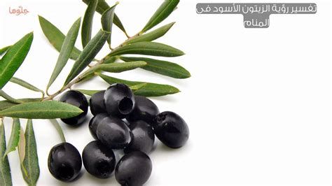 تفسير الزيتون في الحلم , معنى رؤيا الزيتون في المنام