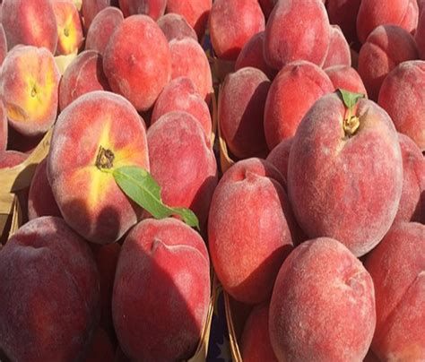 تفسير الخوخ في الحلم معنى رؤيا الخوخ في المنام