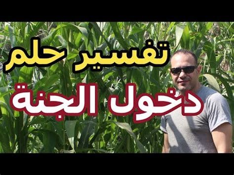 تفسير الجنة في الحلم رؤية دخول الجنه في المنام