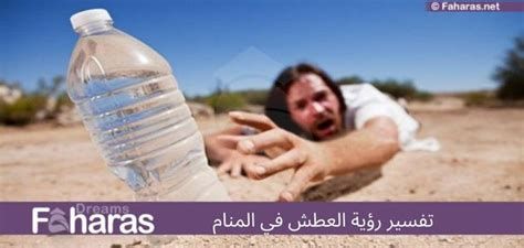 تفسير الحليب في المنام للعزباء
