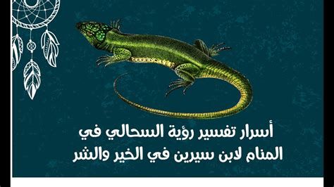 تفسير السحلية في الحلم او رؤية سحلية في المنام