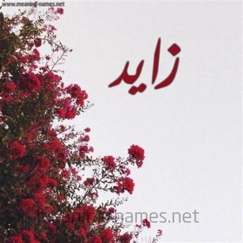 تفسير الحلم باسم زايد