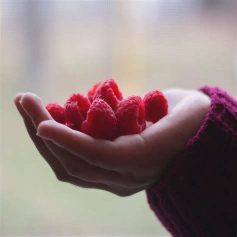 تفسير التوت في الحلم للامام الصادق رؤية التوت في المنام