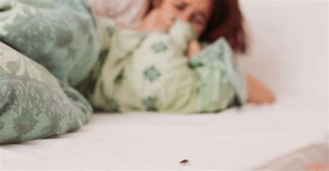 تفسير البساط في المنام و الحصيره في الحلم