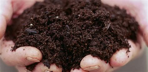 تفسير التراب في الحلم