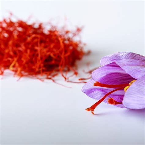 بودرة الزعفران للشعر