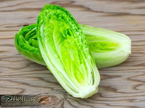 «اهم من كل أدوية القلب».. تعالى أقولك 7 فوائد سحرية عند تناول الخس | ضاع عمرنا منعرفهاش