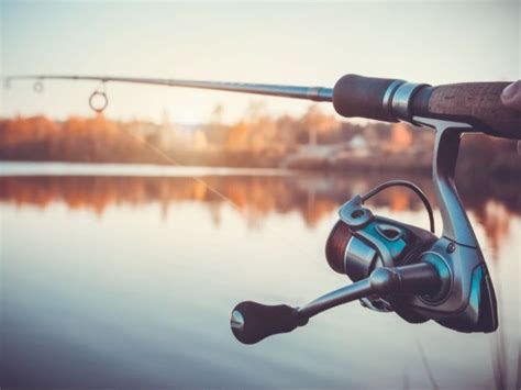 الصيد في المنام وتفسير رؤية الصياد في الحلم بالتفصيل