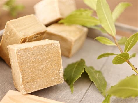 السياحة الداخلية في الإمارات؛ مع مبادرة اجمل شتاء في العالم