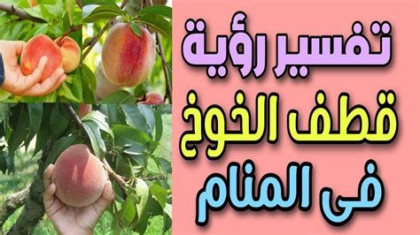 الخوخ في المنام للحامل