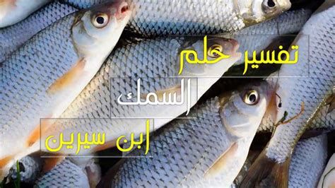 السمك المجمد في المنام