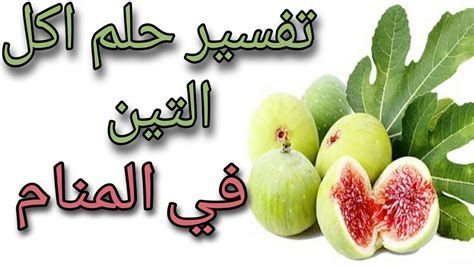 التين في المنام وتفسير رؤية التين في الحلم