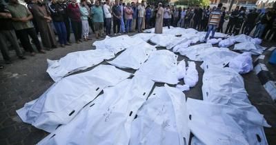 أخبار اليمن : ارتفاع عدد شهداء غزة إلى 44 ألفاً و786