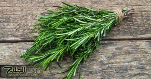 عطار ابن حلال قاللي السر!!.. فوائد العشبة المنسية للراحة النفسية وضعف الذاكرة وتقليل التوتر.. انسى التوتر وخليك ديما مرتاح!!