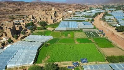 أخبار اليمن : لسكان هذه المحافظات: احذروا الصقيع