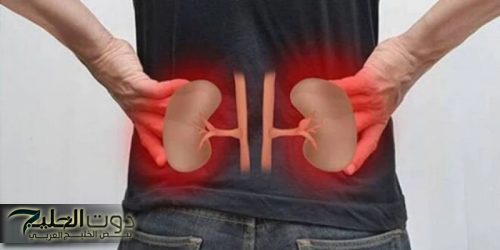 “ضاع عمرنا واحنا نجهل مدي أهميتها”..هذه العشبة المهملة تعمل على تنظيف سموم الكلى والكبد والجسم في دقائق معدودة.. إزاي عايشين ومنعرفش | وداعا للدكاترة