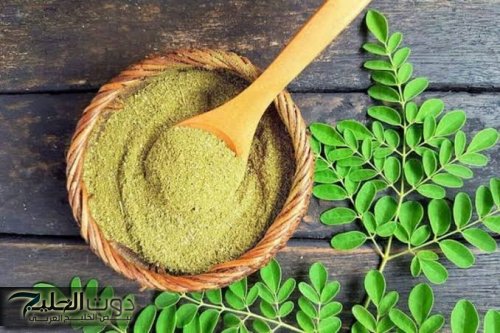 "سر الشباب المتجدد" عشبة معجزة تعيد لك حيويتك وتجعلك أصغر بـ 20 سنة!