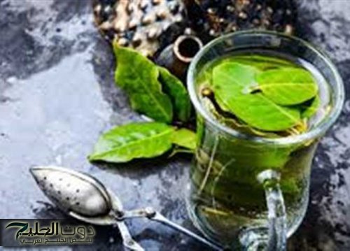 وداعاً للوزن الزائد.. أعشاب طبيعية سحرية تخلصك من الوزن الزائد..جربها ومش هتندم