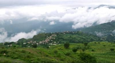 أخبار اليمن : الصقيع مستمر.. خذوا حذركم