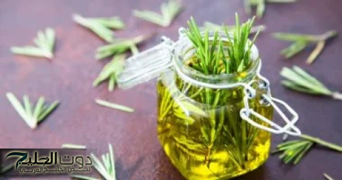 صحة وجمال الشعر عنوان!!..5 فوائد هامة لاستخدام إكليل الجبل في العناية بالشعر.. تعزيز النمو إلى مكافحة التساقط!!