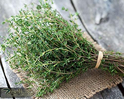 "دور عليها في بيتك واستخدمها: عشبة سحرية هتغير حياتك مش هتصدق فوائدها الثمينة!"