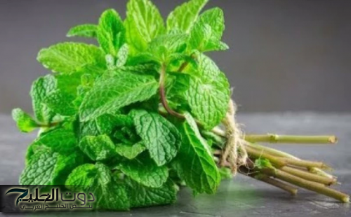 "معجزة الرحمن الخارقة".. من ورق النعناع وورق الغار اقضي على دهون البطن والترهلات في أسبوع واحد فقط.. لكن بهذه الطريقة الوحيدة!!