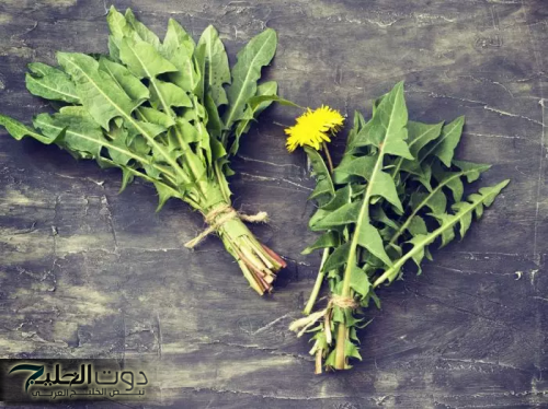 جسمك هيبقا سايح زي الماء.. مدحت شلبي يكشف عن عشبة جبارة لتخسيس البطن والارادف في 3 ايام فقط