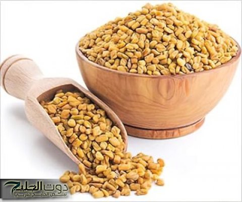 سم فتاك في الحلبة!!.. عطار مشهور يكشف عن سم قاتل موجود في الحلبة دون ان نعرف.. احذر قبل فوات الآوان!!