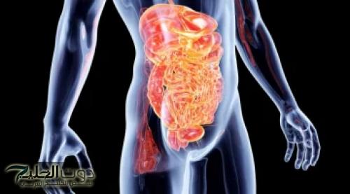 "عشبة خارقة في مطبخك تنظف القولون من البراز المتحجر بسرعة قياسية لا تفوتها!"