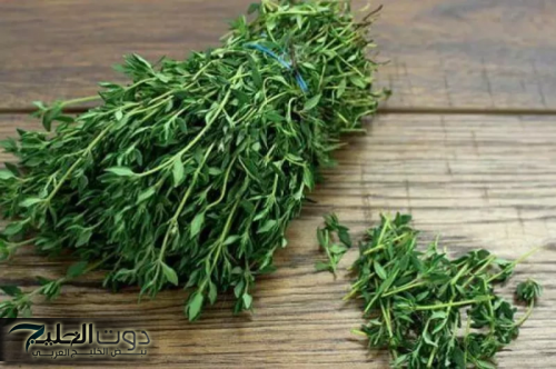 "عشبة من الجنة متوفرة في كل مطبخ".. تعالج النقرس وآلام المفاصل ولها فوائد أخرى..تعرف عليها لا تتجاهلها بعد اليوم!!