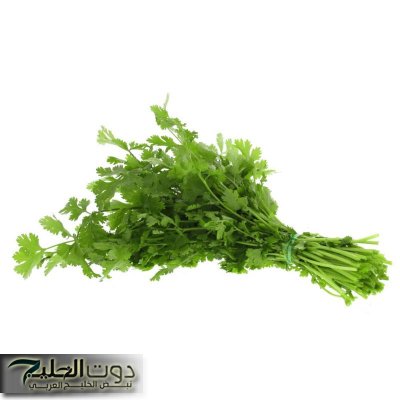 «أقوى من إبرة الانسولين بمليون مرة!!»..عشبة سماوية جبارة تضبط السكر في الدم ..وتفتت الحصى في الكلى!!