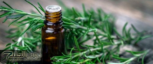 "معجزة ربانية هتسمع عنها لأول مرة"..عشبة طبيعية تطيل شعرك حتى الركبة وتخلصك من الشيب نهائيًا!