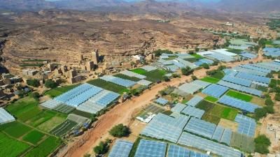 أخبار اليمن : أجواء شديدة البرودة وتحذير جديد للمزارعين