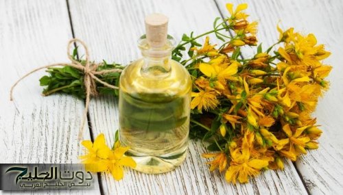 كنز رباني يعالج الاكتئاب!!.. شابة يمنية تكشف عشبة جبارة مفعولها كالسحر لعلاج الاكتئاب وتحسين المزاج.. ضاع عمرك وانت مش عارف!!