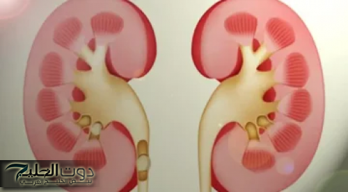 "كوب سحري من مطبخك.. ينقي الكبد يفتت حصى الكلى ويقضي على السكر التراكمي وهتخس من غير ما تحس!"