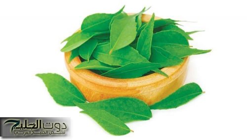 العالم احتار فيها .. عشبة هندية جبارة تخفض مستوي السكر التراكمي في الدم خلال 15 دقيقة فقط مفعولها أسرع من البرق بمليون مرة .. معجزة ربانية بكل المقاييس