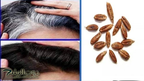 نتيجة سريعة هتبهرك.. نواة التمر للقضاء على الشعر الأبيض نهائيًا