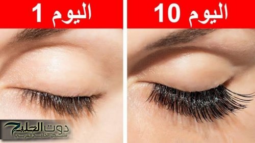 "عيونك هتبقا عيون غزلان!".. وصفة جبارة لتطويل وتكثيف الرموش... مش هتصدقي النتيجة خالص!!