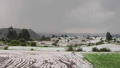 أخبار اليمن : موجة صقيع تسيطر على هذه المحافظات