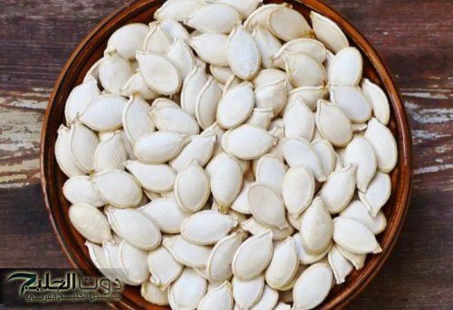 6 فوائد مذهلة للب الأبيض!!.. كيف يعزز صحتك ويعطيك طاقة طبيعية من خلال هذا المكون البسيط!!.