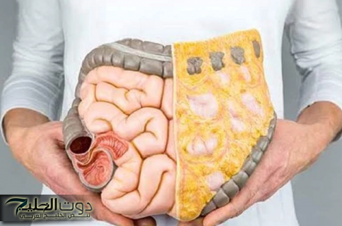 "ولا الجن الأزرق يعرفها! العشبة السحرية اللي هتخلصك من مشاكل القولون والبراز المتحجر فورًا!"