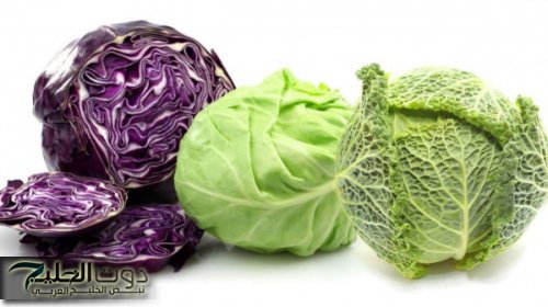 ملك الخضار!!..5 فوائد مذهلة للكرنب تجعل منه غذاء لا غنى عنه لصحتك..كيفية استخدام في المطبخ!!