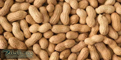 "مفعوله حير العالم والعلماء" .. لن تصدق ماذا يحدث في جسمك عند تناول «الفول السوداني» لمدة 7 أيام