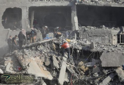 كلاب ضالة تنهش جثامين شهداء شمال غزة .. صورة وفيديو