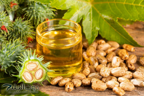 "سحره هيخليكي متقطعهوش من مطبخك"..!!هذا ما يحدث لجسمك بعد وضع «زيت الخروع» على هذة المنطقة!!