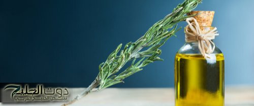 "هتندم لو معرفتش".. عشبة إكليل الجبل هتنشط الدورة الدموية وتخلصك من تساقط الشعر وتسهل من عملية الهضم..واظب على استخدامها