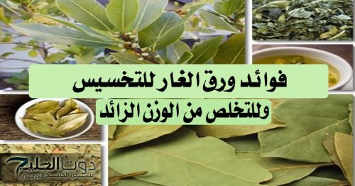 بطنك هتلزق في ظهرك؟!.. وصفة ورق الغار السحرية للتخلص من الوزن الزائد ودهون البطن.. هتندمي انك معرفتهاش من زمان!!